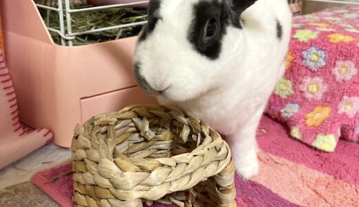 下のソーシャルリンクからフォロー