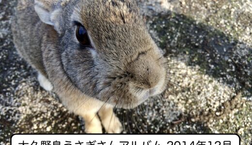 下のソーシャルリンクからフォロー
